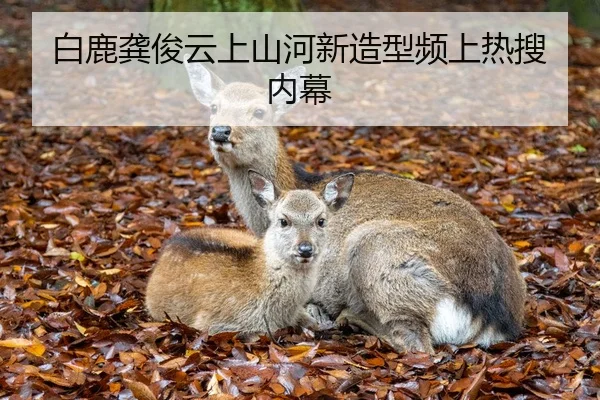 白鹿龚俊云上山河新造型频上热搜内幕